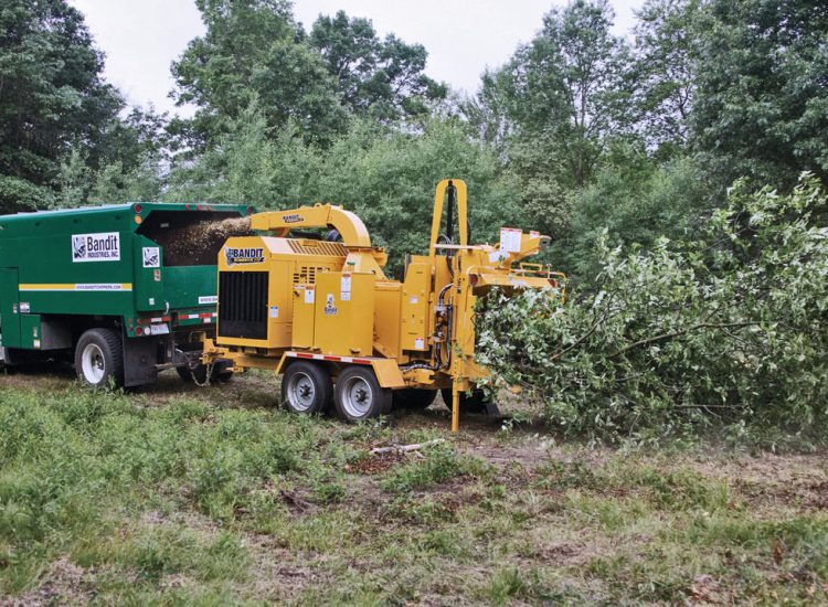 Broyeur forestier Bandit 21XP
