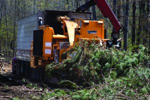 Broyeur de branches Bandit