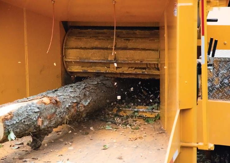 Broyeur forestier Bandit 21XP