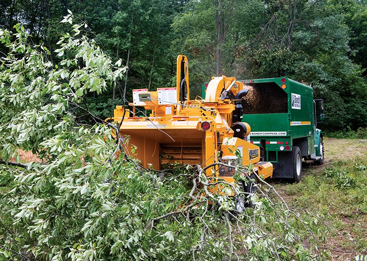 Broyeur forestier Bandit 21XP