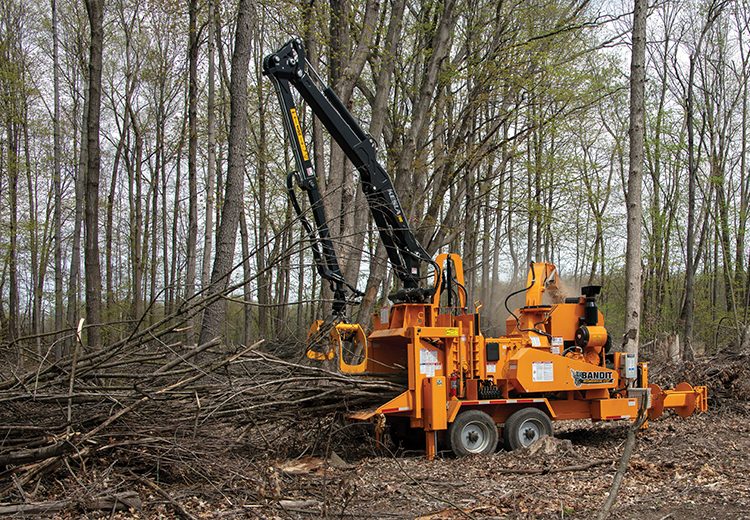 Broyeur forestier Bandit 21XP