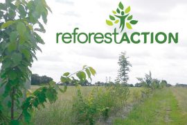 Bandit ALM s'engagent aurpès de Reforest'Action à préserver la biodiverté