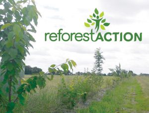 Bandit ALM s'engagent aurpès de Reforest'Action à préserver la biodiverté